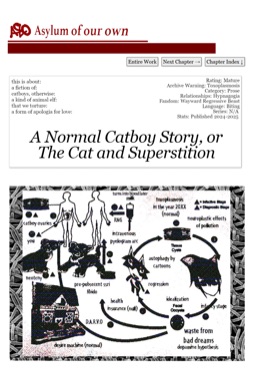 Cover for A Normal Catboy Story, or The Cat and Superstition